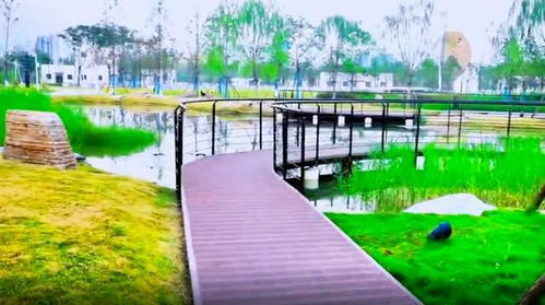 游覽武漢城區(qū)一座魚(yú)主題公園 面積超10個(gè)球場(chǎng),地下還有巨型工廠