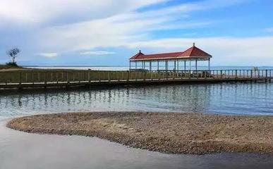 青海湖鳥島景區(qū)和沙島景區(qū)對外停止開放
