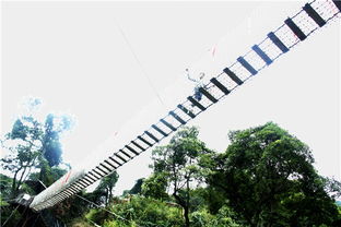 國(guó)慶黃金周到佛山南丹山聽(tīng)鳥(niǎo)語(yǔ) 覓鼠蹤,度一個(gè)動(dòng)物園假期