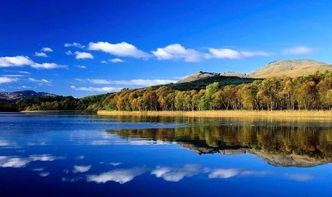 文化及相關產業(yè)分類 2018 九大行業(yè)解讀 四