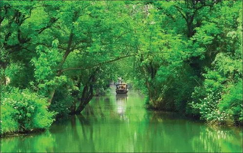 浙 幾家旅游經(jīng)典景區(qū),春節(jié)約起來(lái)