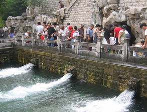 助力保泉 濟南5個滲漏區明年將修復