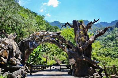 魔鬼秋千爆紅全網 浙旅集團深度體驗旅游產品成效凸顯，景區管理再升級